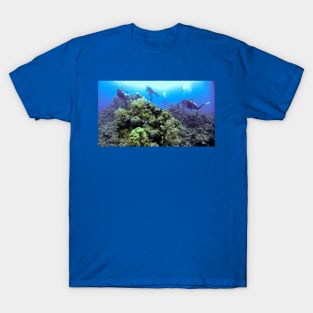 THE DIVE GUIDE T-Shirt